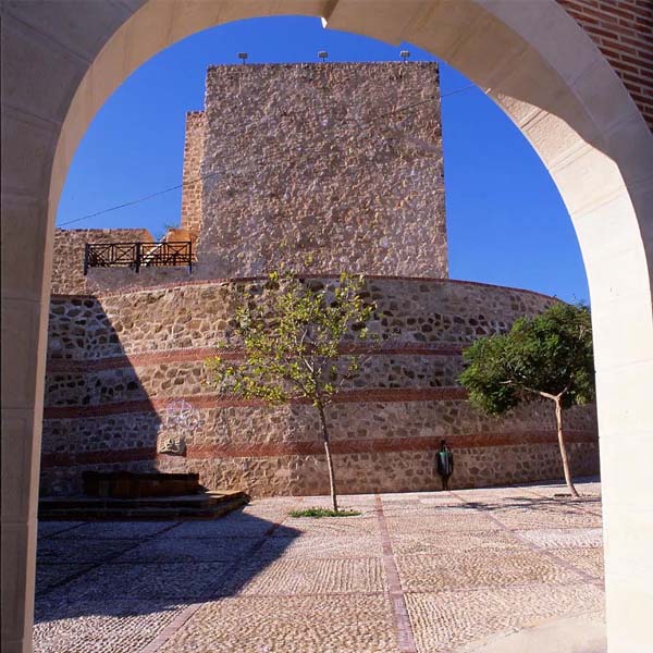 Mudanzas en Guardamar del Segura