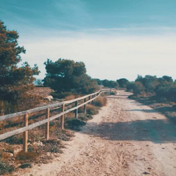 Mudanzas en Los Montesinos