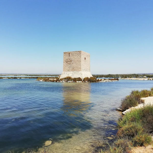 Mudanzas en Santa Pola